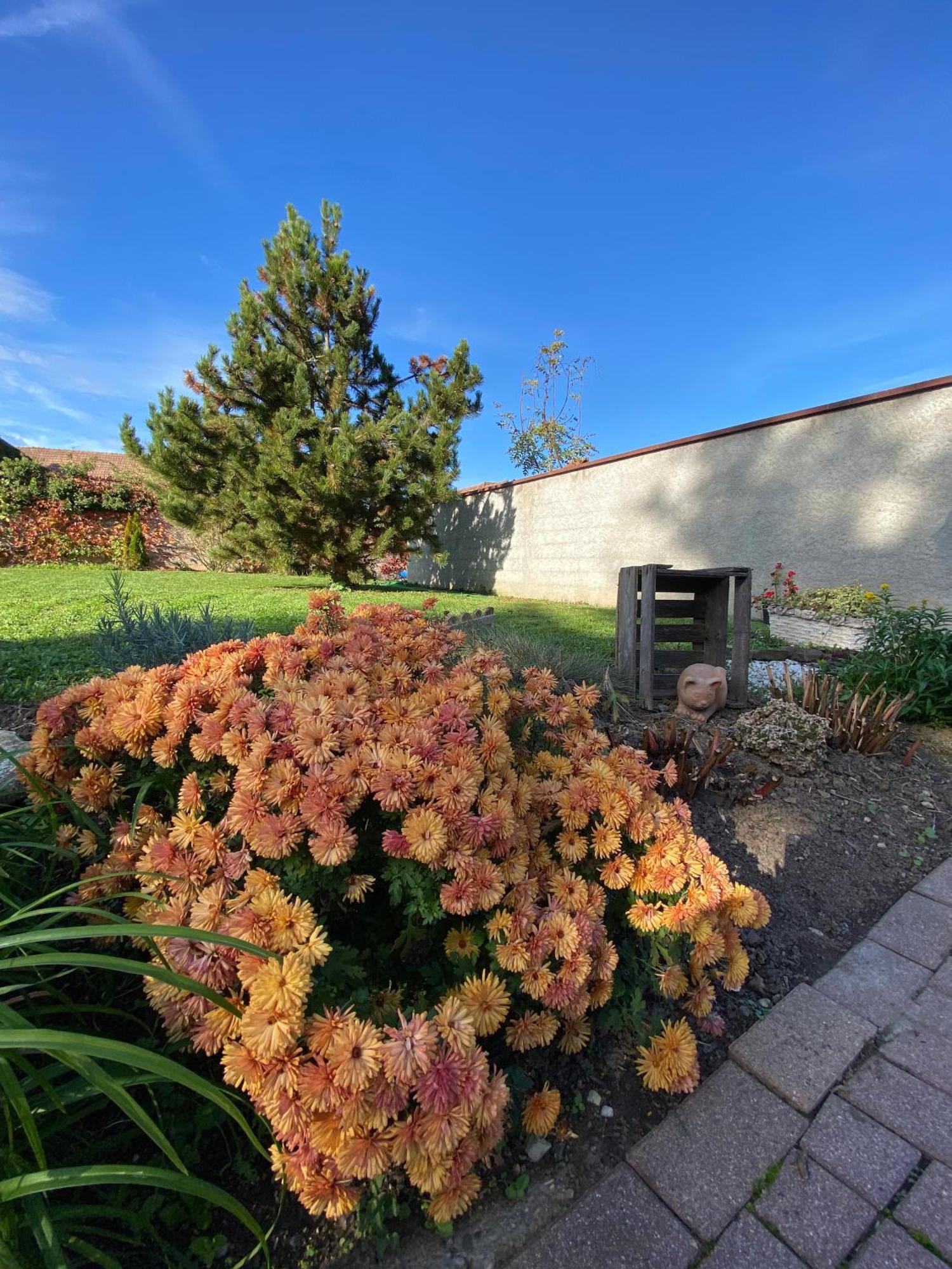 Bed and Breakfast Relais Du Dompeter Molsheim Exterior foto